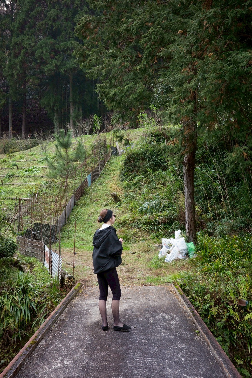 HOUSE×Willow Pants | Anorak